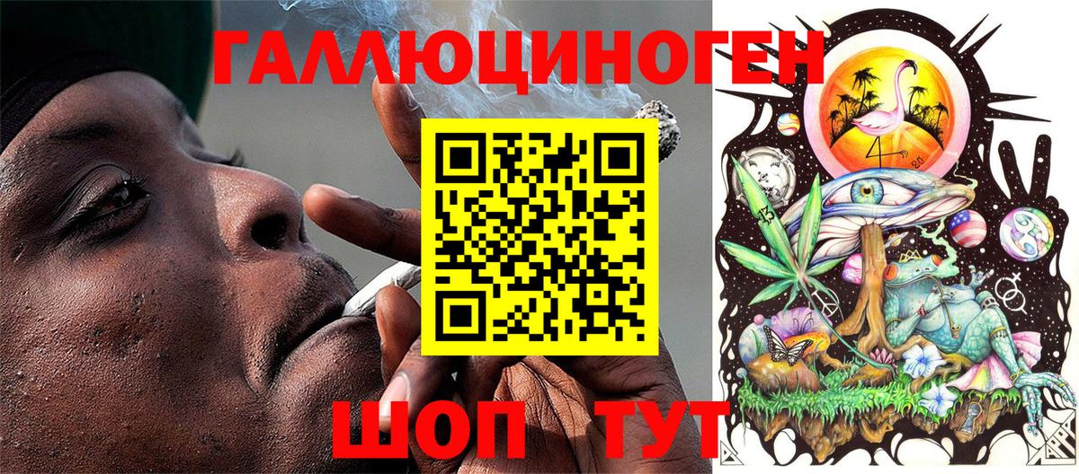 Псилоцибиновые грибы Psilocybine cubensis Железногорск