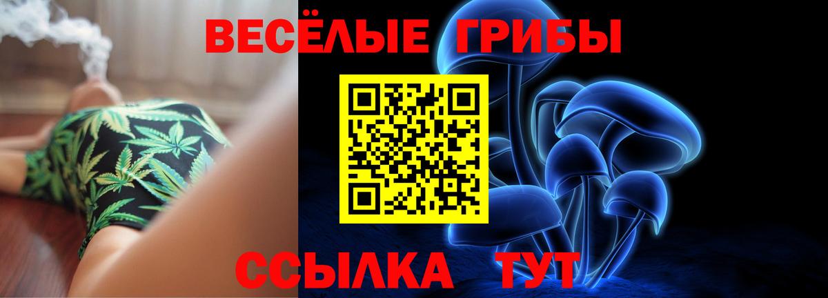 Галлюциногенные грибы MAGIC MUSHROOMS  Вход с VPN  купить наркотики сайты  Железногорск 